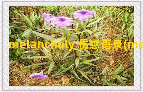 melancholy 伤感语录(melancholy电影在线观看)